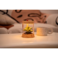 FTOYIN LED 인테리어 식물등, 화이트, 1개