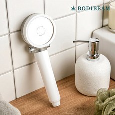 바디빔