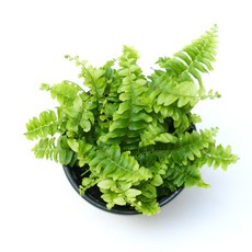 9d13e58725d65ea9fd882b5685bf2aaa21130a7020945a873561deec1976.jpg