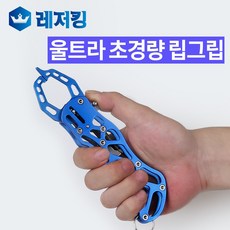 립프로그립탑최저가