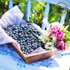 블루베리요거트케익