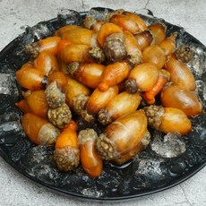 0bf270ebc4413fc8137e9ed2bf9dbf0e5fb2a20cc006912f6c2d84df07ca.jpg
