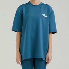 다이슨코랄블루