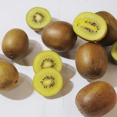 기타 순천 골드키위 2kg 24과 내외, 상세페이지참조, 1개
