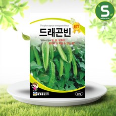 씨드래곤나이트 TOP01