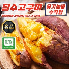 무안 유기농 햇고구마 꿀 달수고구마 10kg (엄지 보통 특상), 무안 유기농 달수고구마 엄지(한입) 3kg, 1개