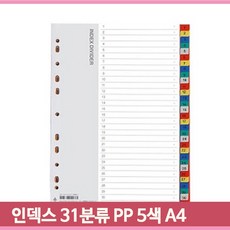 필름파일속지
