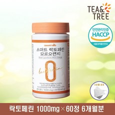 프랑스소도시