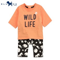 블루독베이비상하복