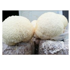 여주근교아이와체험