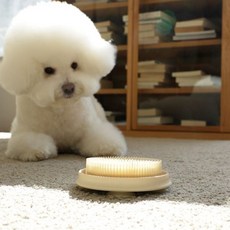 강아지 고양이 셀프 이빨닦기 입냄새제거 실리콘 스케일링 칫솔 덴탈케어 브러쉬, 아이보리