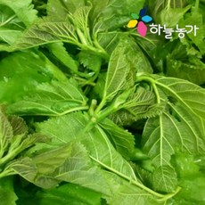 하늘농가 [하늘농가]순수국산 뽕잎 50gX4팩, 1
