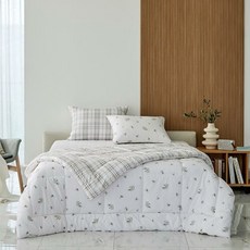 모던하우스파쉬