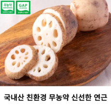 연근제철