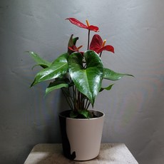 7c3f6015a68b21e3de1465e770c83624156c5cbc2bcb46db665f879f95b5.jpg