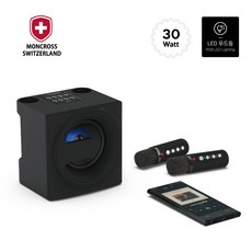 블루투스듀얼마이크