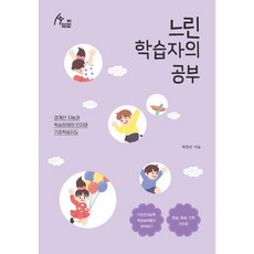 느린 학습자의 공부 (큰글자도서) : 경계선 지능과 학습장애의 인지와 기초학습지도, 이담북스(이담Books)