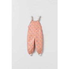 자라러버라이즈드