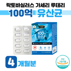 세리더이야기