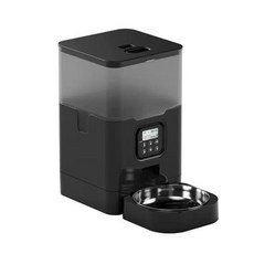 디클펫트리와이파이