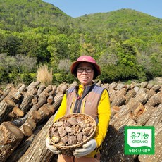 태평가 건조 표고버섯 500g 1kg 유기농 인증 건 표고, 1개