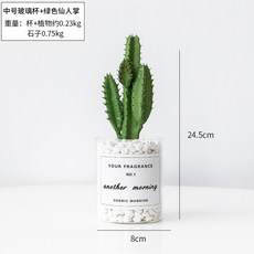 선인장조화 진짜같은 고급스러운 다육이조화 감성인테리어 인조선인장, K.중간 사이즈 유리컵-그린 선인장