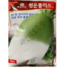 청운무