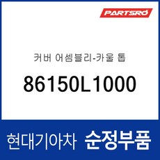 커버-카울 톱 (86150L1000) 쏘나타 DN8/DN8 하이브리드, 1개