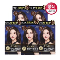 리엔 흑모비책 한방 크림염색제, 짙은갈색, 5개