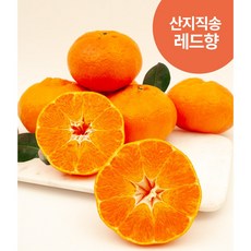 제주도 황금향 천혜향 제철과일 레드향 3kg