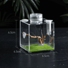 사슴벌레 장수풍뎅이 키우기 단치 사육장 사육통 사육세트, B타입 6.5*6.5cm, 1개