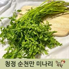 첫번째수확 산지직송 제철채소 미나리 효능 1kg 2kg 4kg, 1박스, 1kg(하우스)