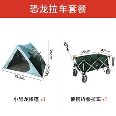 코스트코핸드트럭