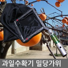 감따기가위