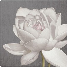 거실 침실 욕실 주방 사무실 바 다이닝 게스트 룸을 위한 아티스트 마리 일레인 쿠슨의 회색 II 캔버스 벽 장식 - 22인치 x 미술관, 거실, 침실, 욕실, 주방, 사무실, 바, 다이닝 게스, 1개