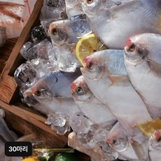 국내산 손질병어 30마리(3마리(300g)X10마리), 단일옵션