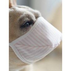 애견 대형 중소형 외출 3층 부직포 입마개 마스크, S, 긴코강아지
