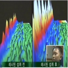 브레인 레시틴 홍삼 피로 개선 항산화 기억력 뇌 세포 콜레스테롤 인지질 Rg3 난황레시틴, 1개