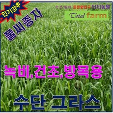 풀씨씨앗/목초용씨앗/수단그라스700g