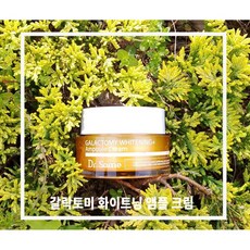 민감성영양공급앰플