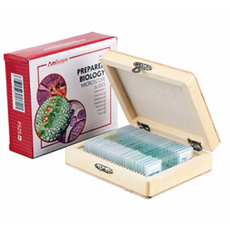 amscope