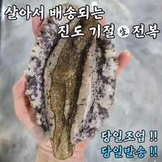 진도 활전복 전복 특대 1kg 싱싱한용존산소선물포장 포함, 꼬마 21-25미(1kg)