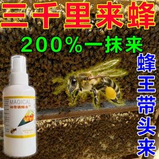 벌통 분가 분봉 여왕벌 토종벌 유인제 초보 양봉 도구 벌집 미끼 꿀벌 해충퇴치용품 유인 트랩 페이스트 장비 액상, 1개