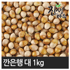 국산 은행 품질좋은 깐은행 1kg 대, 상세정보참조