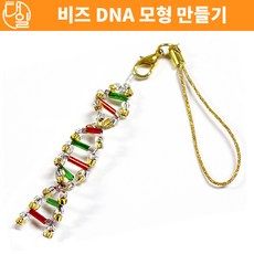 디엔에이모형