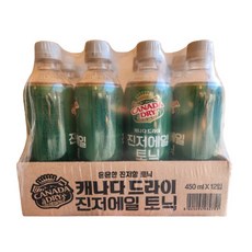 캐나다드라이 진저에일 450ml 12입...