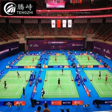 텐 치 ty - 2015 맞 춤 형 경기 시리즈 배드민턴 장소 인 글 리 코 텍 스 경기장, 1개