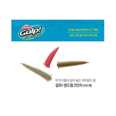 버클리가재향