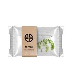 장구벌레관찰자연