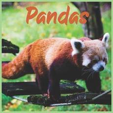 Pandas: 2021 wall & Office Calendar 16 Monthe Paperback, Independently Published